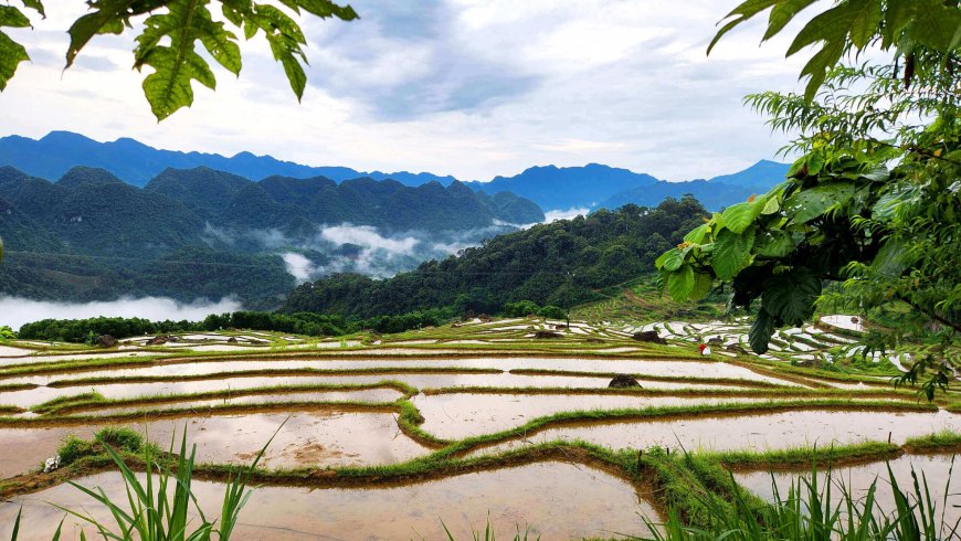 Pedaling Through Paradise: The Comprehensive Guide to Eco Cycling Tours in Northern Vietnam